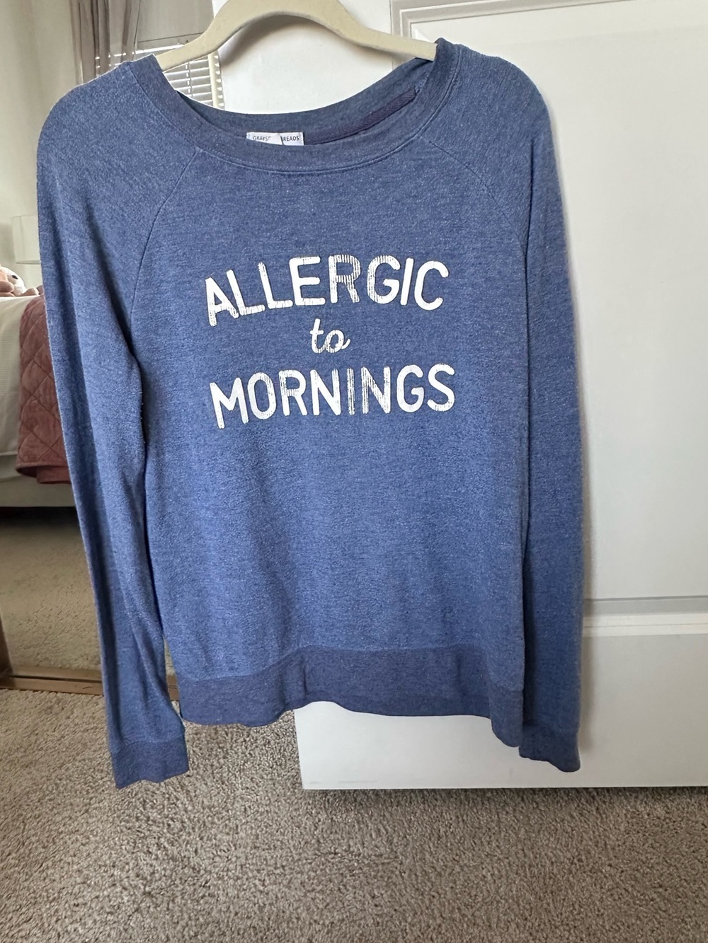Grayson Threads Blue 'Allergic to Mornings' Crewneck Sweatshirt